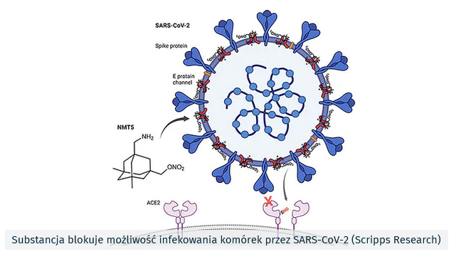 Stary lek neurologiczny daje nową nadzieję do walki z COVID. „To nasza zemsta na wirusie”