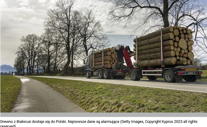 Nielegalne drewno zalewa Polskę. Drastyczny wzrost z nowego kierunku