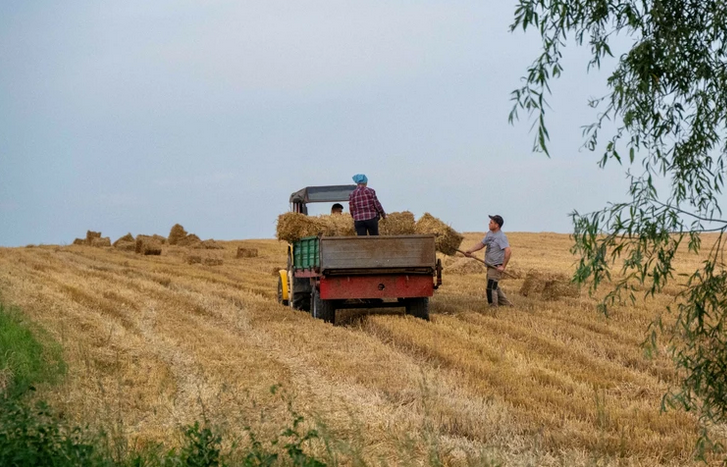 Masowe kontrole u rolników. Za wykazanie nieprawidłowości grożą dotkliwe kary